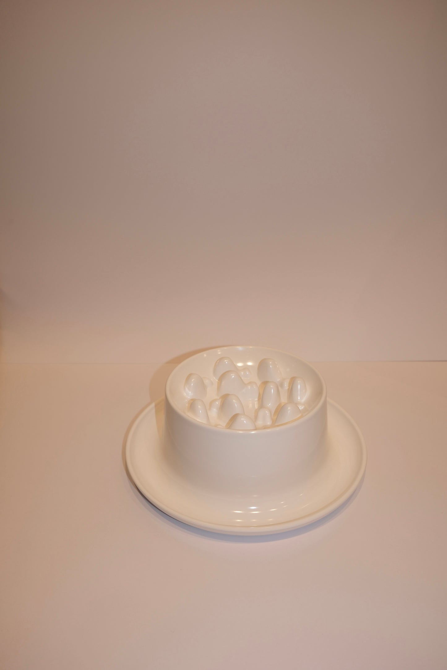Bowl Feeders