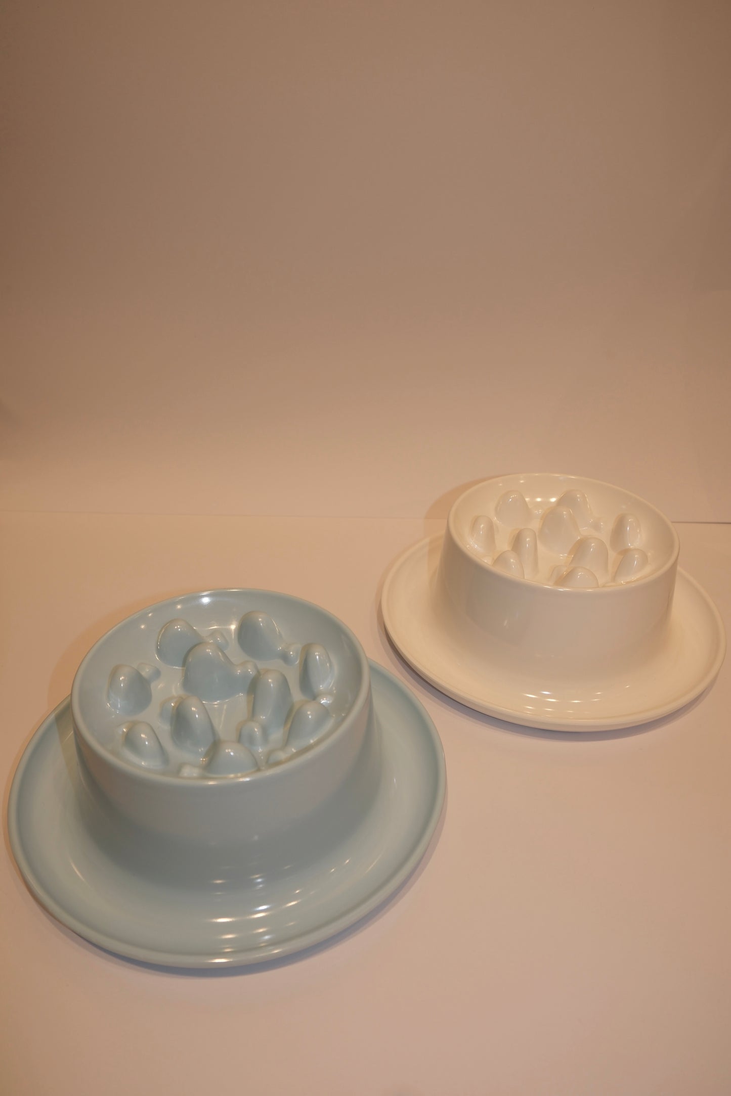Bowl Feeders