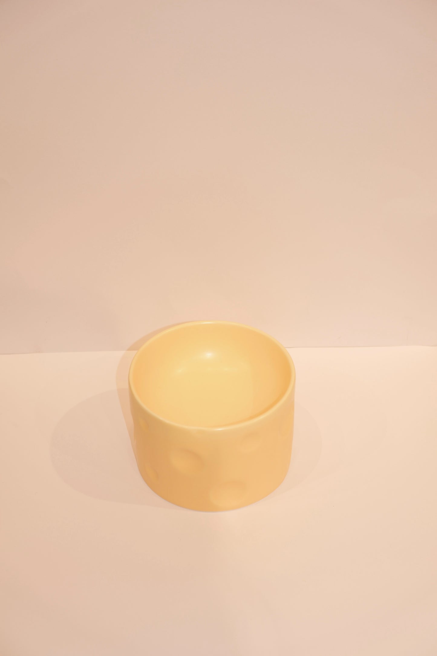 Cheese Cat Bowls