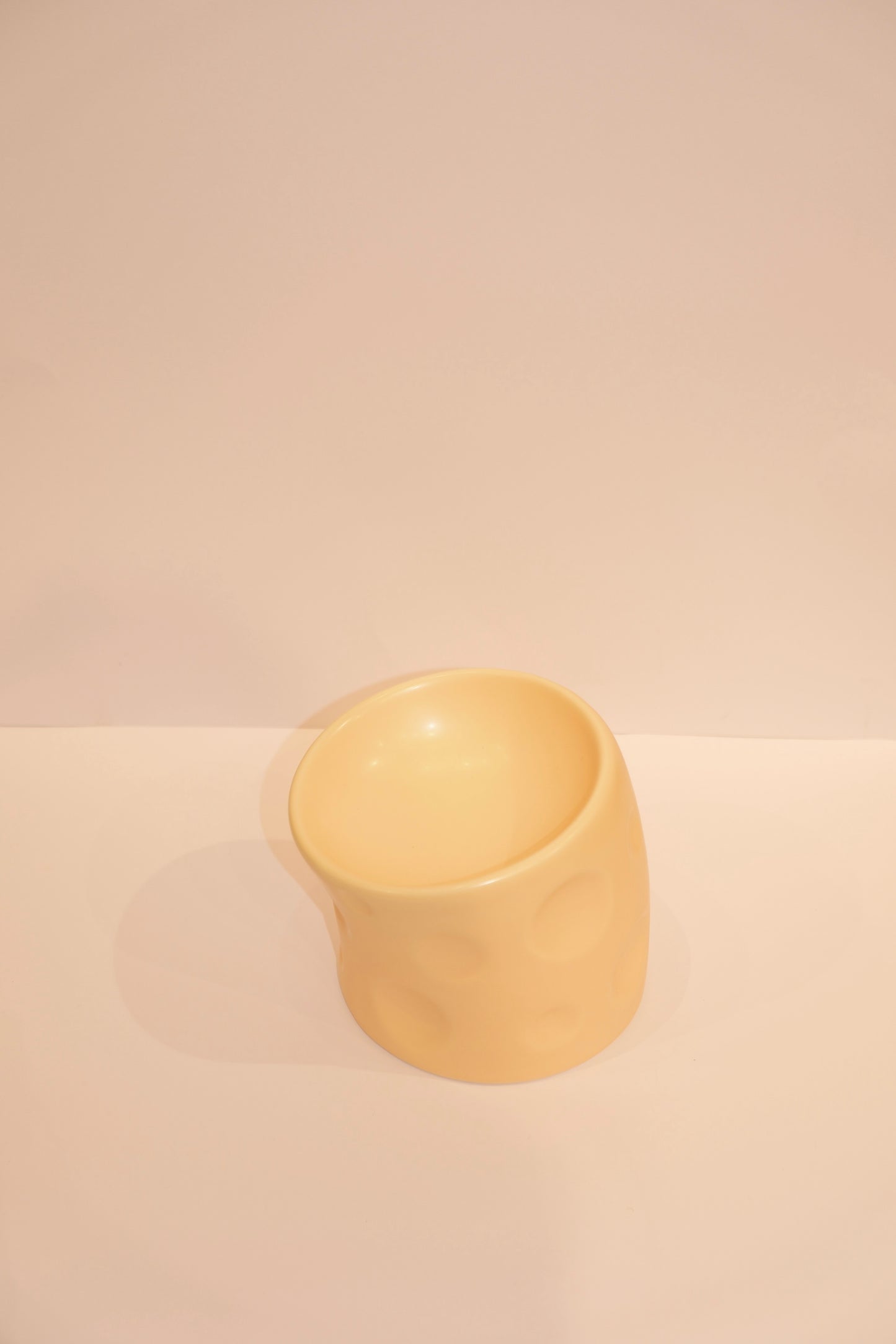 Cheese Cat Bowls