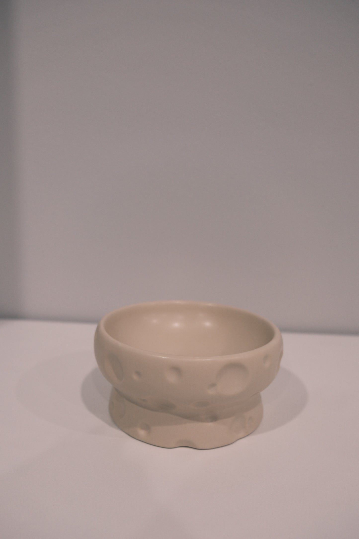Low White Matte Cheese Bowl