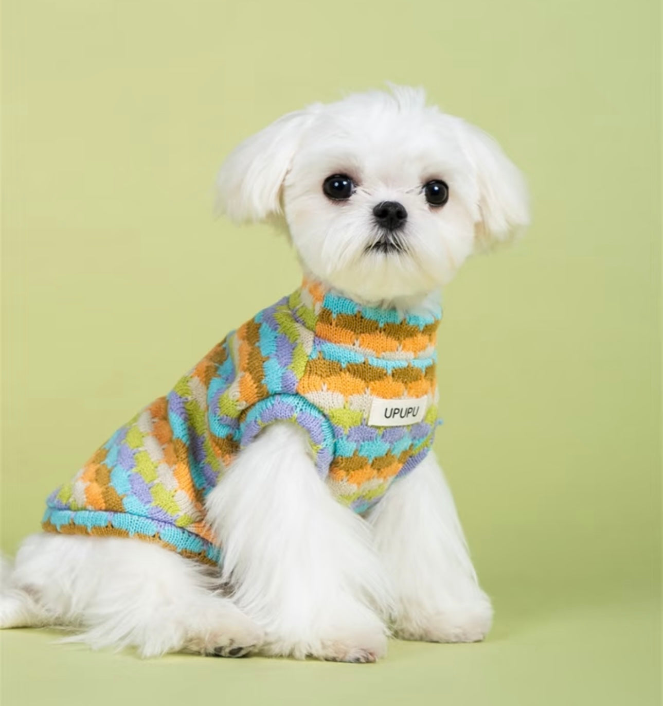 UPUPU Mixed Colour Sweater