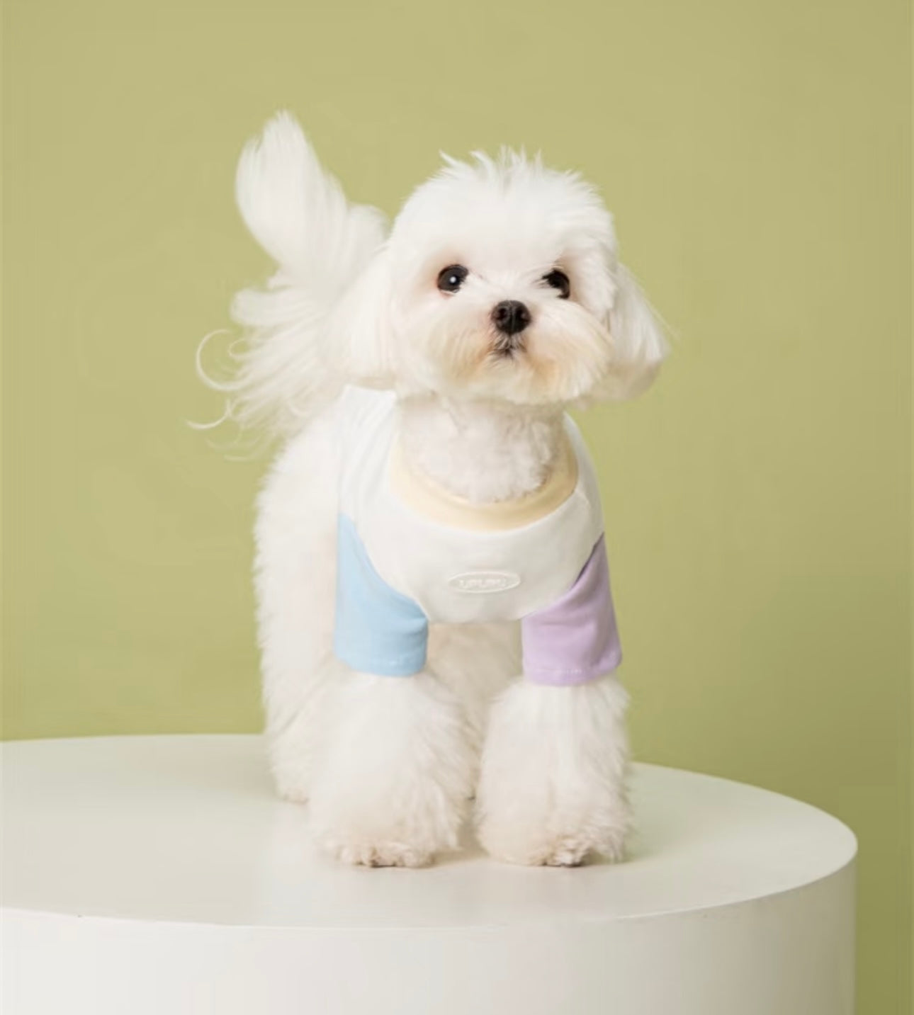 UPUPU White Mixed Colour Shirt