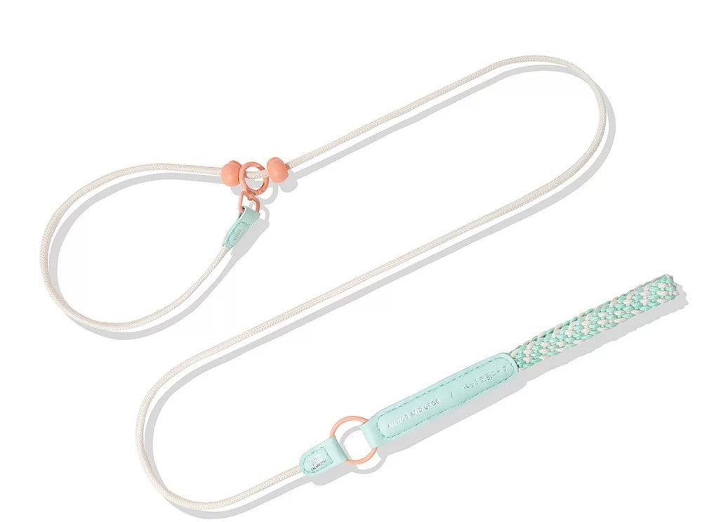 Blue Pink Rope Leash