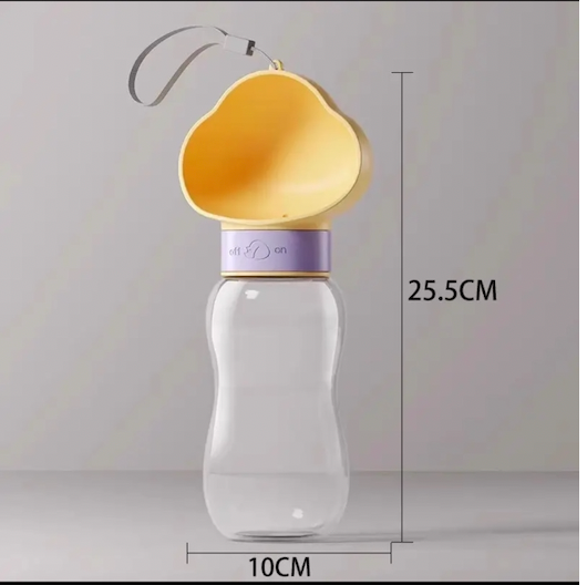 Travel Bottle