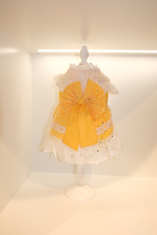 Golden Bloom Pet Dress