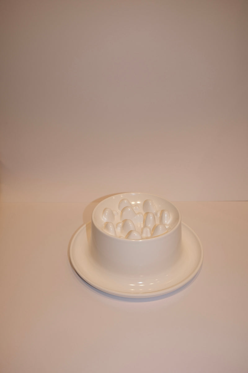 Bowl Feeders