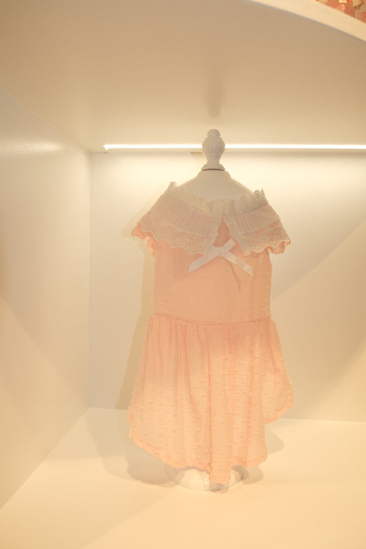 Pink Riffle Dress