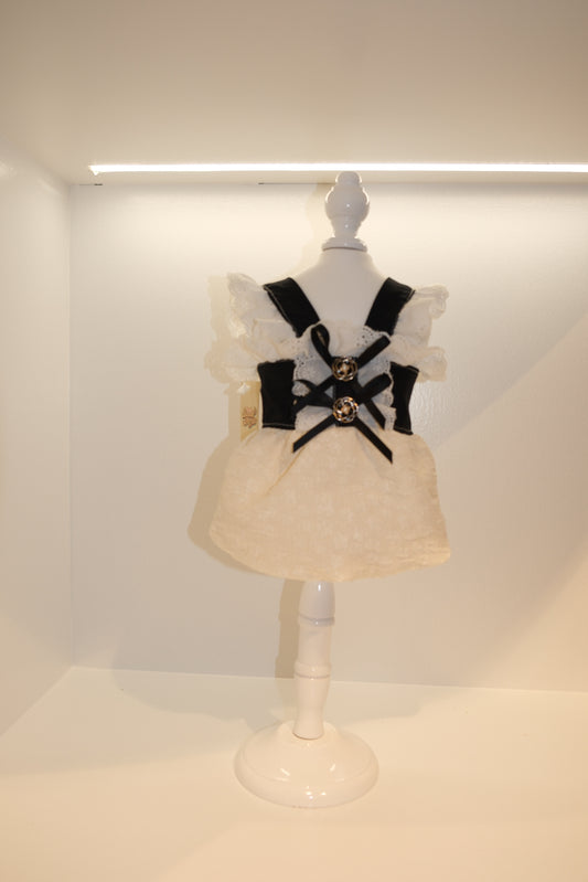 Midnight Elegance Dress XS
