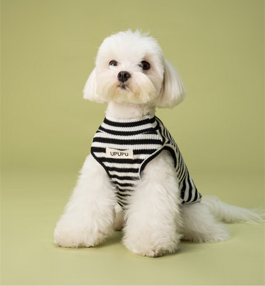 UPUPU Sweater Black White