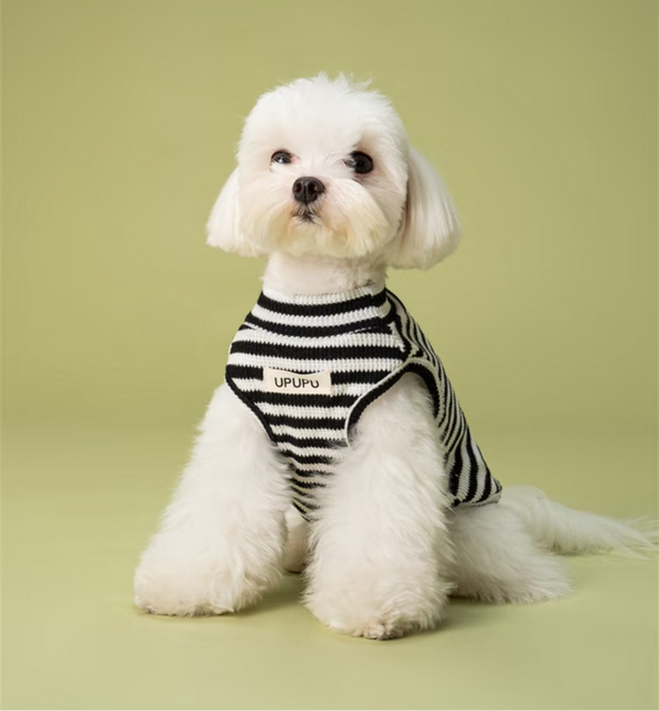 UPUPU Sweater Black White