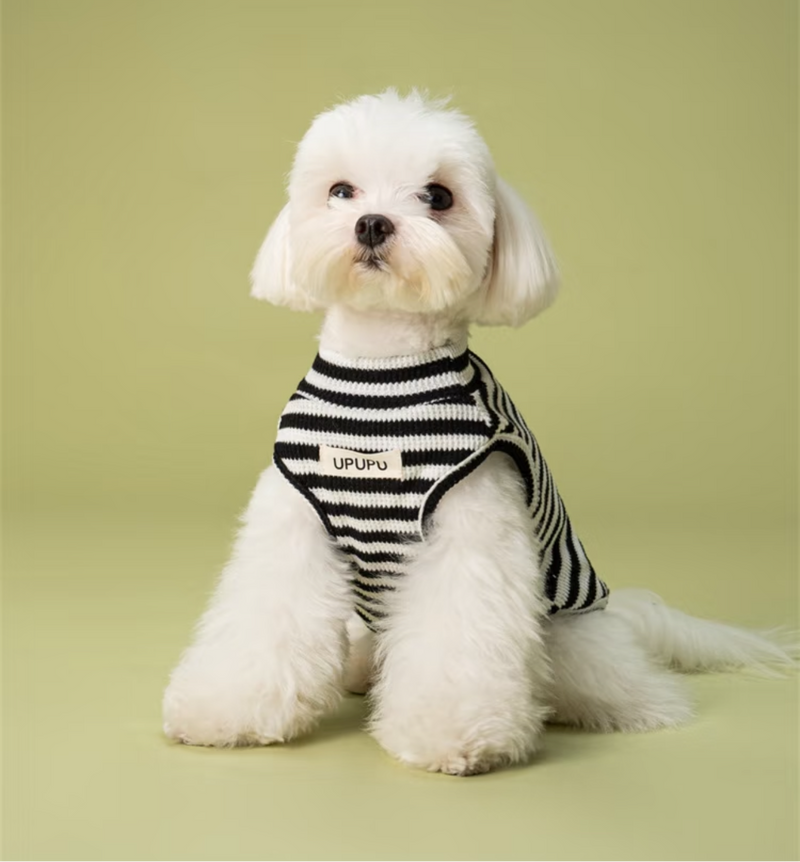 UPUPU Sweater Black White