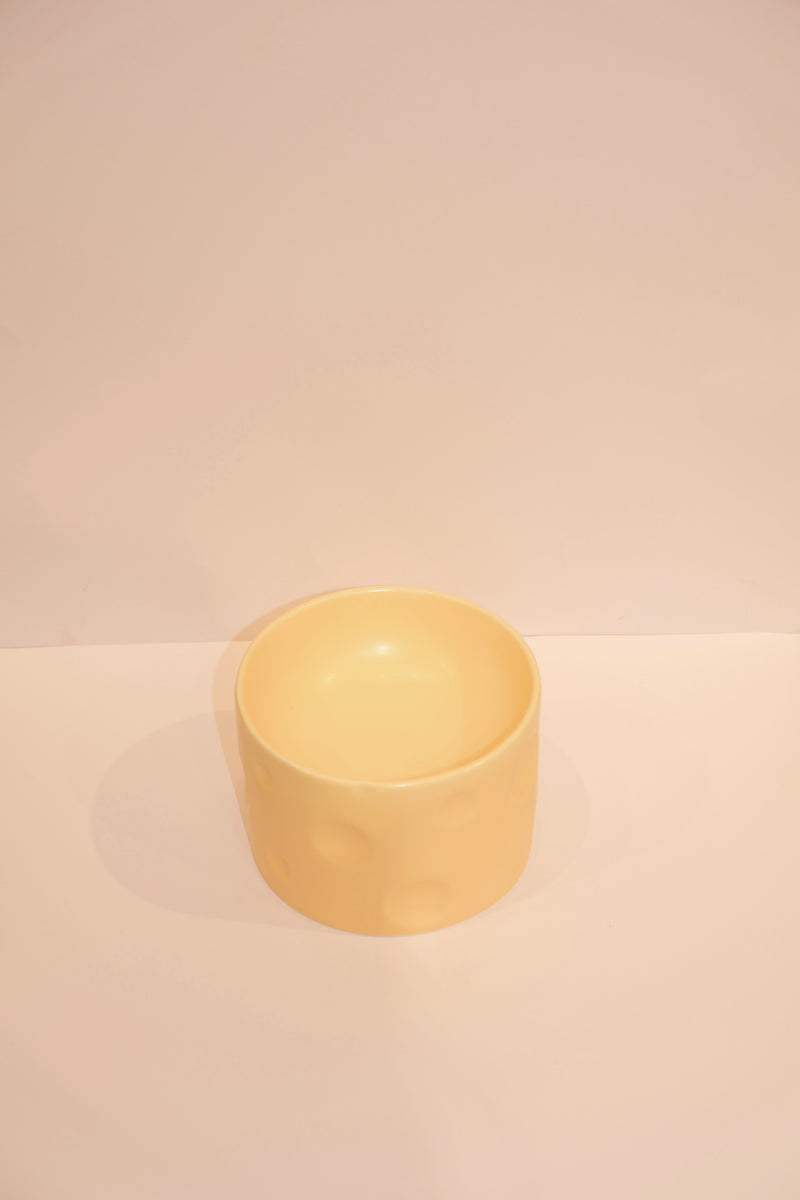 Cheese Cat Bowls
