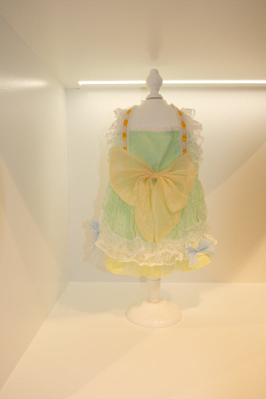 Garden Glow Pet Dress M