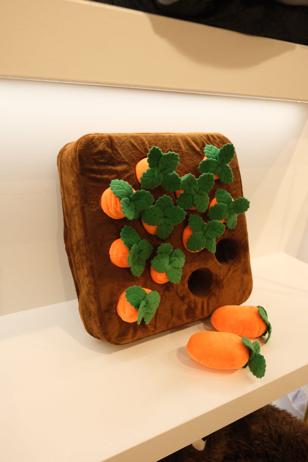 Twelve Carrots