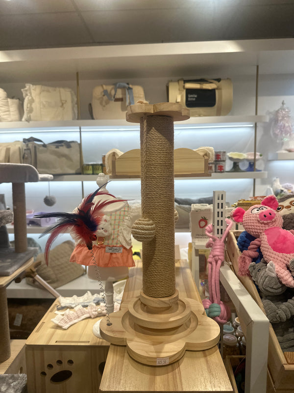 Ball Hanging Cat Toy