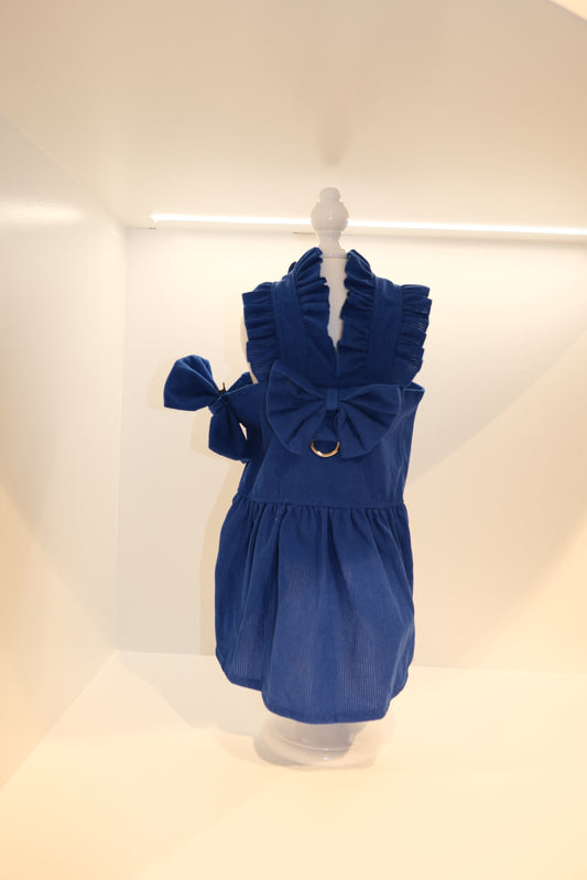 Blue Pet Dress