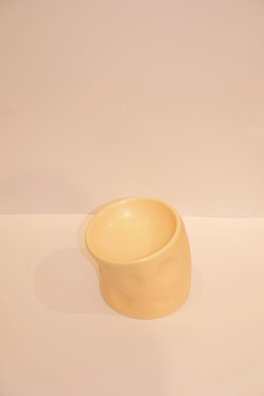 Cheese Cat Bowls