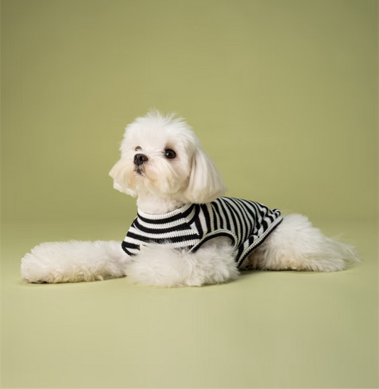 UPUPU Sweater Black White