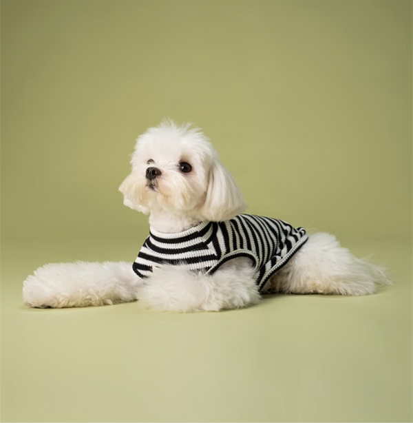 UPUPU Sweater Black White