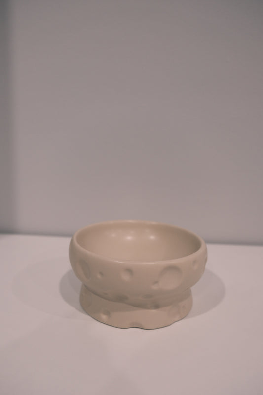 Low White Matte Cheese Bowl
