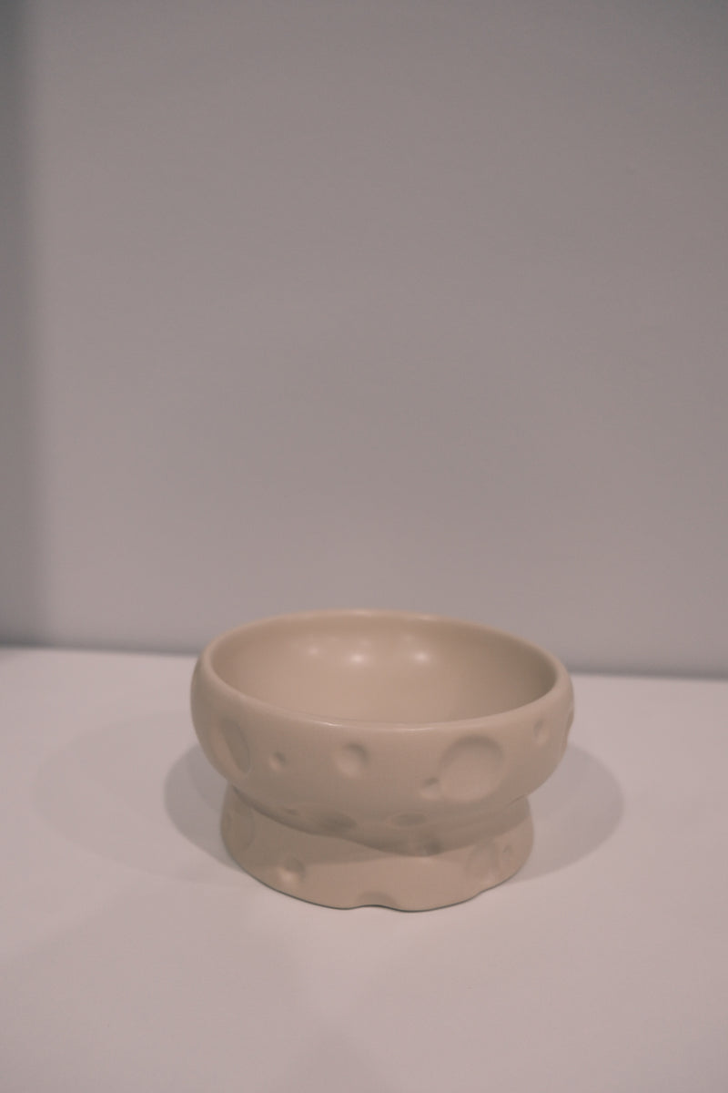 Low White Matte Cheese Bowl