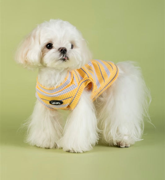 UPUPU Sweater Yellow Stripe