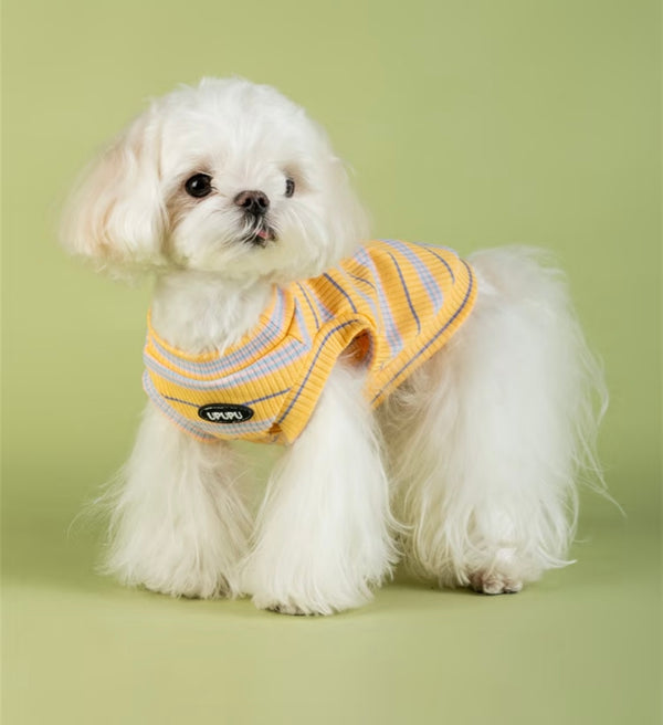 UPUPU Sweater Yellow Stripe