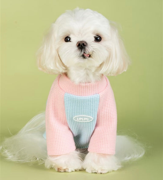 UPUPU Pink Blue Sweater