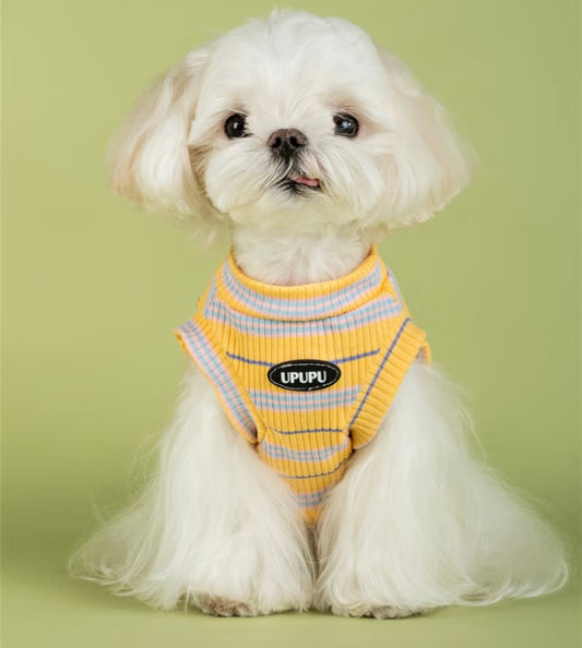 UPUPU Sweater Yellow Stripe