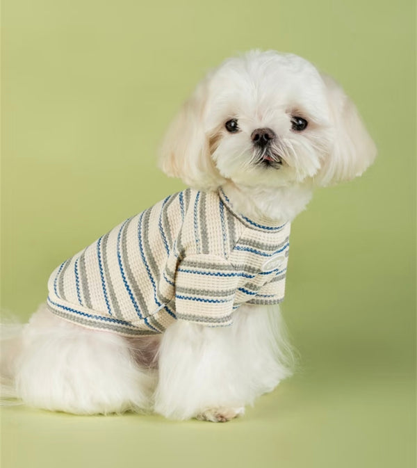 UPUPU Short Tee White Mix