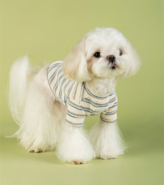 UPUPU Short Tee White Mix