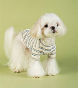 UPUPU Short Tee White Mix