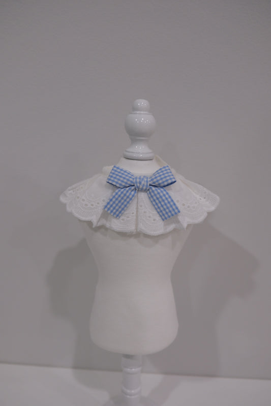 Blue Ribbon Collar