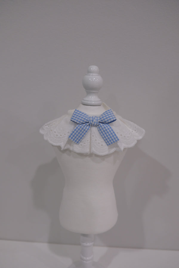 Blue Ribbon Collar