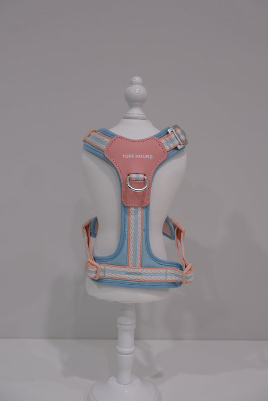 TF Peach Blue Harness