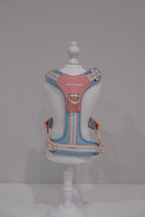 TF Peach Blue Harness