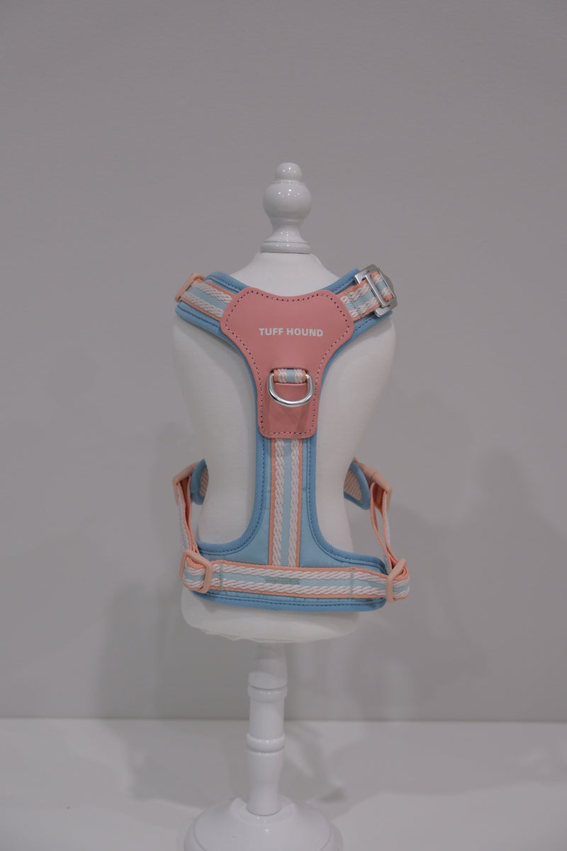 TF Peach Blue Harness