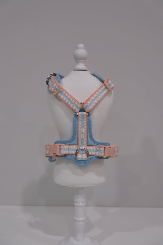 TF Peach Blue Harness