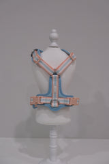 TF Peach Blue Harness