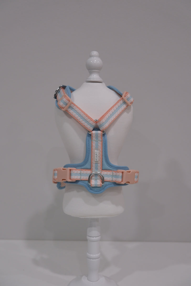 TF Peach Blue Harness