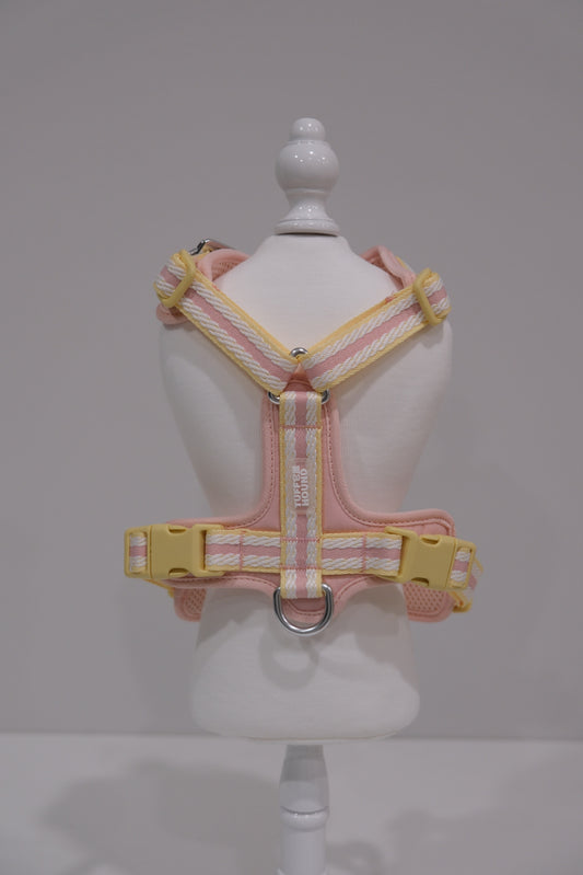 TF Cream Harness