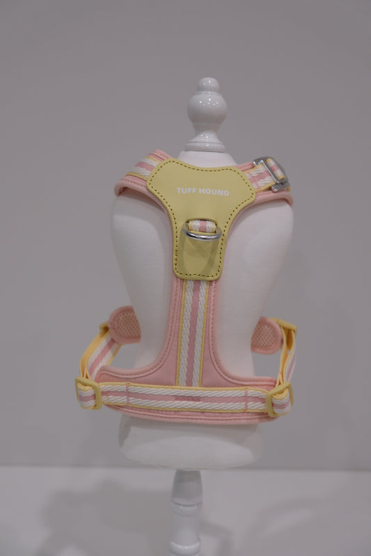 TF Cream Harness