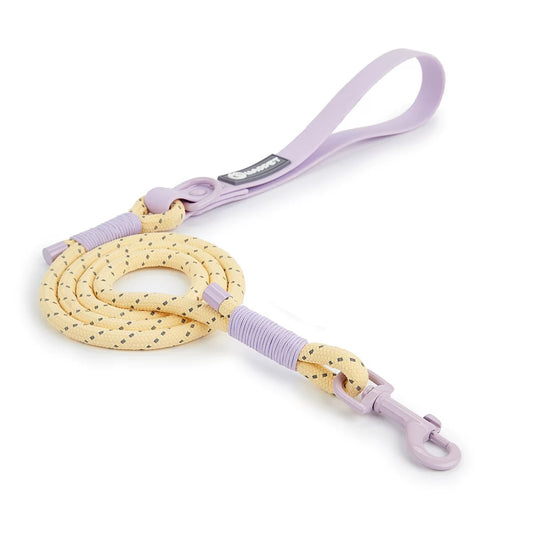 Purple Yellow Leash