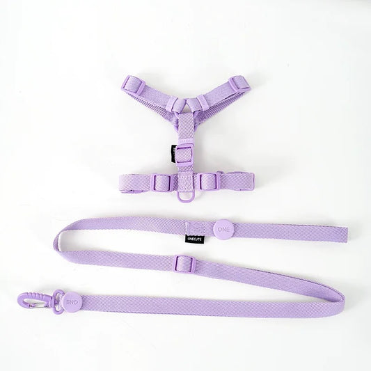 Purple Harness & Leash