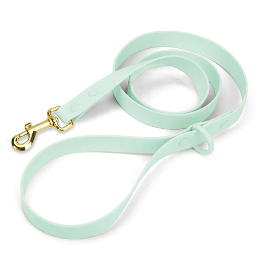 PVC Mint Green Leash