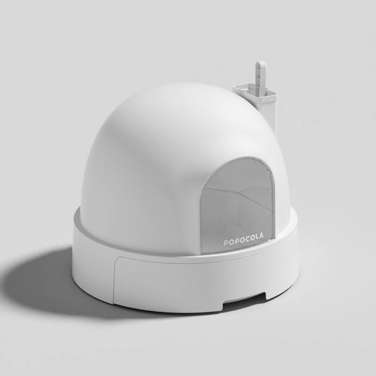 Indoor Round Cat Toliet