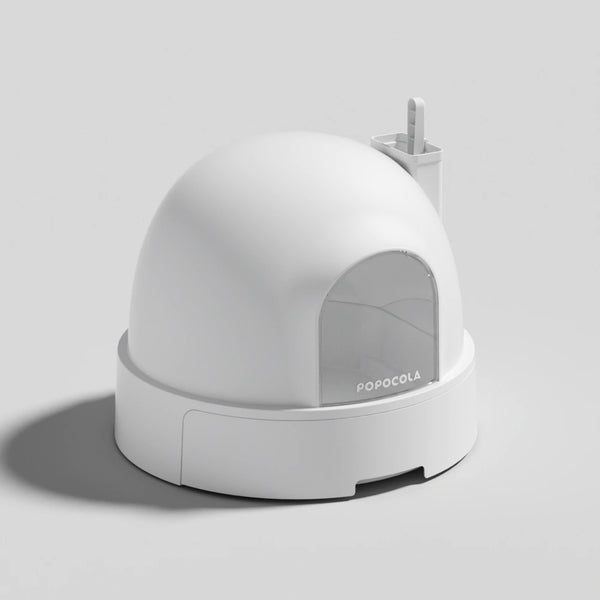 Indoor Round Cat Toliet