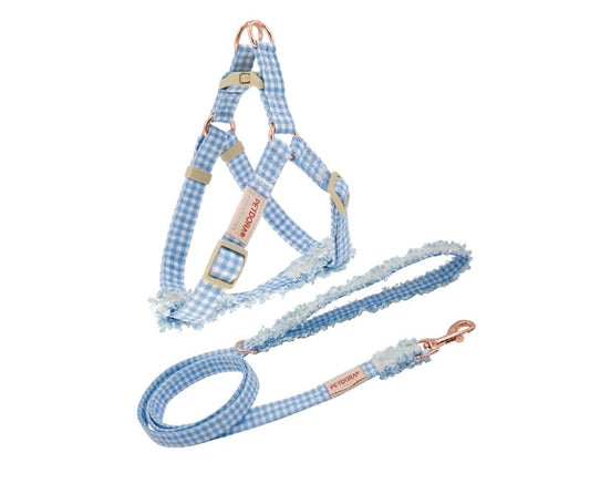 Blue Gridded Set