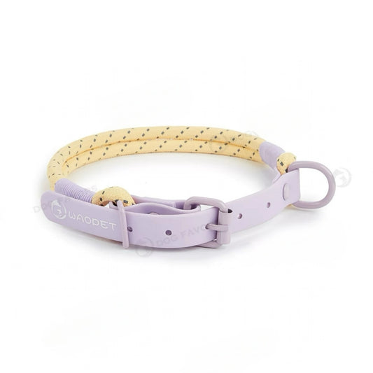 Purple Yellow Collar